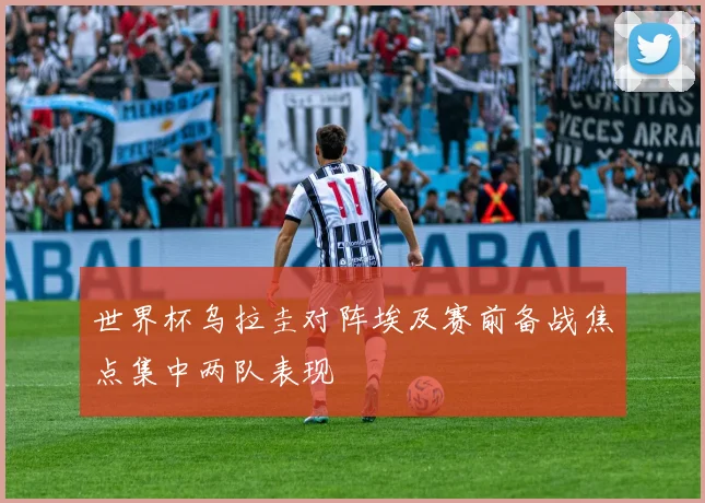 世界杯乌拉圭对阵埃及赛前备战焦点集中两队表现