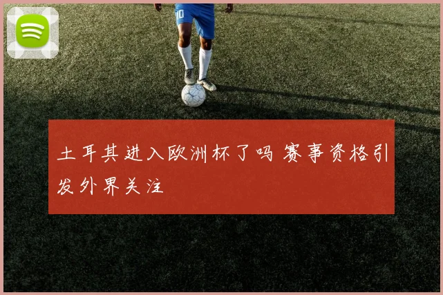 土耳其进入欧洲杯了吗 赛事资格引发外界关注