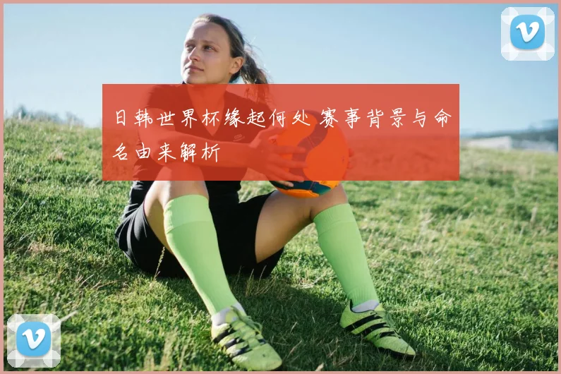 日韩世界杯缘起何处 赛事背景与命名由来解析