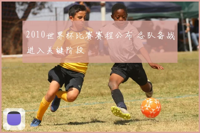 2010世界杯比赛赛程公布 各队备战进入关键阶段