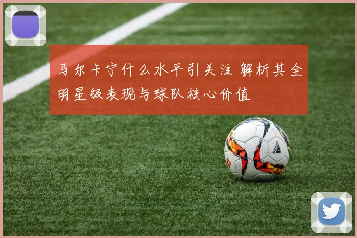 马尔卡宁什么水平引关注 解析其全明星级表现与球队核心价值